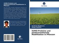 Обложка SUMO-Proteine und posttranslationale Modifikation in Pflanzen