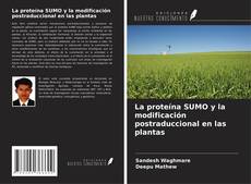 Capa do livro de La proteína SUMO y la modificación postraduccional en las plantas 