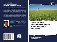 Buchcover von Белки SUMO и посттрансляционная модификация в растениях