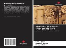 Couverture de Numerical analysis of crack propagation
