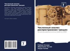 Численный анализ распространения трещин kitap kapağı