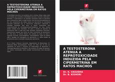 Bookcover of A TESTOSTERONA ATENUA A REPROTOXICIDADE INDUZIDA PELA CIPERMETRINA EM RATOS MACHOS