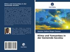 Copertina di Klima und Yamsanbau in der Gemeinde Savalou
