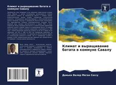 Buchcover von Климат и выращивание батата в коммуне Савалу