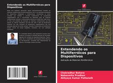 Bookcover of Entendendo os Multiferróicos para Dispositivos