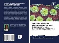 Buchcover von Влияние методов выращивания на два биоиндикатора в рыночном садоводстве