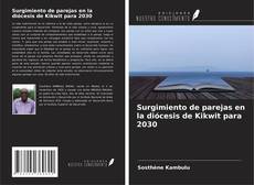 Surgimiento de parejas en la diócesis de Kikwit para 2030 kitap kapağı