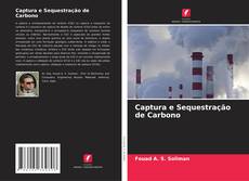 Captura e Sequestração de Carbono kitap kapağı