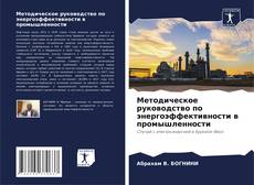 Buchcover von Методическое руководство по энергоэффективности в промышленности