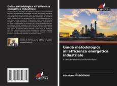 Обложка Guida metodologica all'efficienza energetica industriale