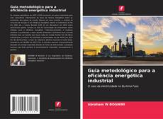 Guia metodológico para a eficiência energética industrial kitap kapağı