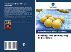 Couverture de Bioadhäsion: Entwicklung in Biofilmen