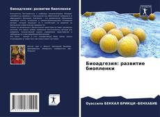 Bookcover of Биоадгезия: развитие биопленки