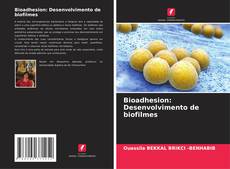 Bookcover of Bioadhesion: Desenvolvimento de biofilmes