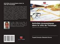 Обложка Activités économiques dans la ville de Teustepe