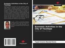 Обложка Economic Activities in the City of Teustepe
