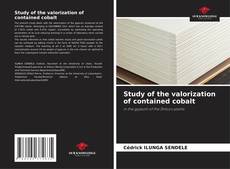 Portada del libro de Study of the valorization of contained cobalt