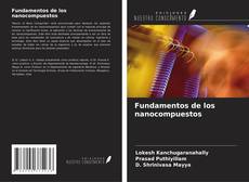 Fundamentos de los nanocompuestos kitap kapağı