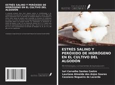 ESTRÉS SALINO Y PERÓXIDO DE HIDRÓGENO EN EL CULTIVO DEL ALGODÓN kitap kapağı