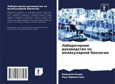 Bookcover of Лабораторное руководство по молекулярной биологии