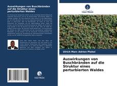 Couverture de Auswirkungen von Buschbränden auf die Struktur eines реrturbierten Waldes
