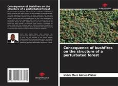 Portada del libro de Consequence of bushfires on the structure of a реrturbated forest