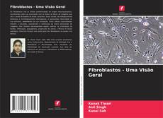 Fibroblastos - Uma Visão Geral的封面