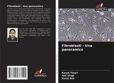 Обложка Fibroblasti - Una panoramica