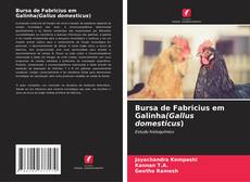 Bursa de Fabricius em Galinha(Gallus domesticus) kitap kapağı