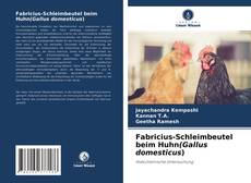 Bookcover of Fabricius-Schleimbeutel beim Huhn(Gallus domesticus)