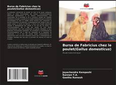 Обложка Bursa de Fabricius chez le poulet(Gallus domesticus)