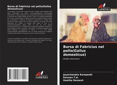 Обложка Bursa di Fabricius nel pollo(Gallus domesticus)