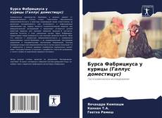Capa do livro de Бурса Фабрициуса у курицы (Галлус доместицус) 