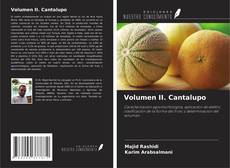 Couverture de Volumen II. Cantalupo
