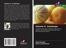 Bookcover of Volume II. Cantalupo