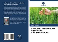 Обложка Rolle von Schwefel in der Boden- und Pflanzenernährung