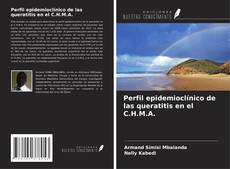 Bookcover of Perfil epidemioclínico de las queratitis en el C.H.M.A.