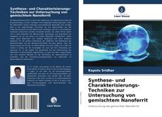 Synthese- und Charakterisierungs-Techniken zur Untersuchung von gemischtem Nanoferrit的封面