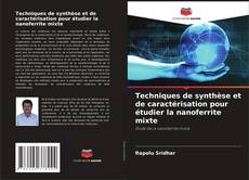 Couverture de Techniques de synthèse et de caractérisation pour étudier la nanoferrite mixte