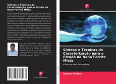 Bookcover of Síntese e Técnicas de Caracterização para o Estudo da Nano Ferrite Mista