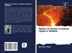 Portada del libro de Право на жизнь и охрана труда в Замбии