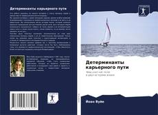 Обложка Детерминанты карьерного пути