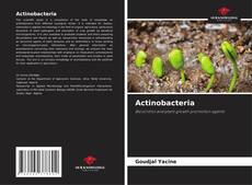 Couverture de Actinobacteria