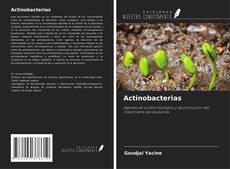 Bookcover of Actinobacterias
