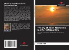 Обложка Theory of norm formation in international law