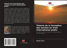 Bookcover of Théorie de la formation des normes en droit international public
