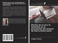 Capa do livro de Efectos de la cal y la bentonita en la granulación del mineral de hierro Koton-Karfe 