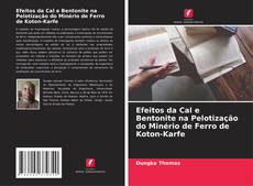 Bookcover of Efeitos da Cal e Bentonite na Pelotização do Minério de Ferro de Koton-Karfe