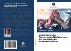 Aneignung von Turnaround-Mechanismen für nachhaltiges Unternehmertum的封面