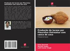 Bookcover of Produção de lacase por Pleurotus Ostreatus com casca de coco